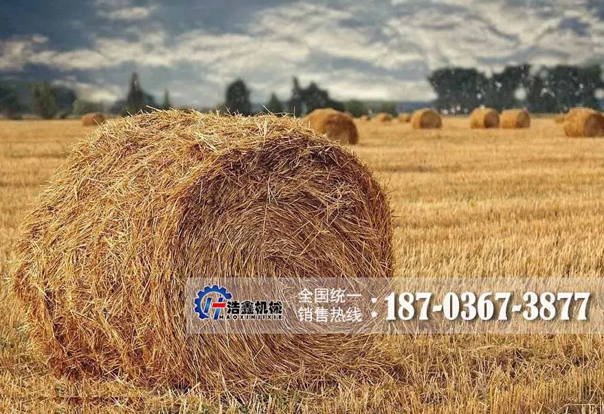 为什么说秸秆烘干市场前景广阔