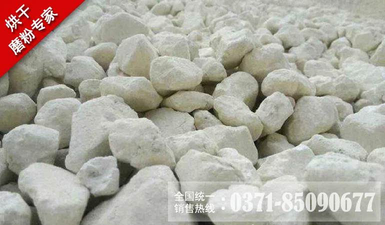 baihui.jpg